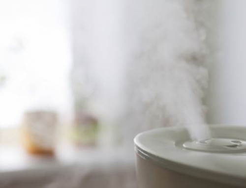 Humidifiers: the Unexpected Comfort Provider